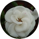 Geeta Rajpal profile picture