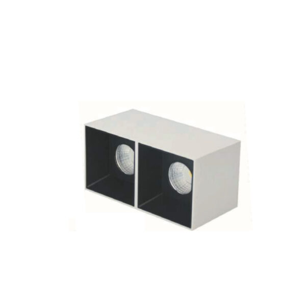 LEARC aluminium white black finish 2X7 watt surface light EP7123