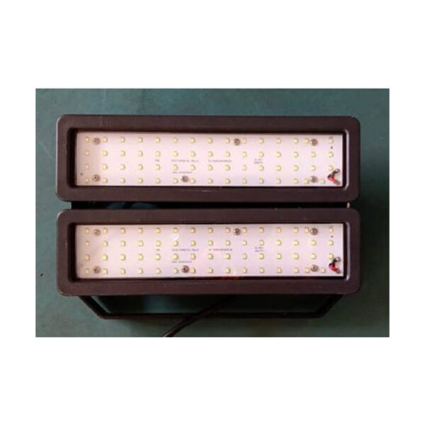 SUPERSCAPE 2 X 50 watt outdoor Flood Light with top quality LED and driver FA6230