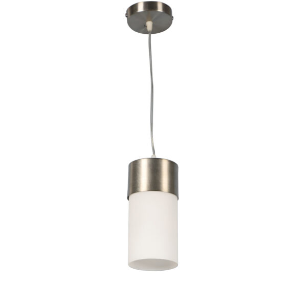 LEARC Designer Lighting Glass Metal Pendent Single HL3858-1