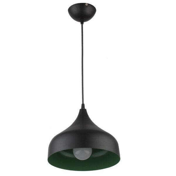LEARC Designer Lighting black parrot green Metal Pendent Single HL3887-1