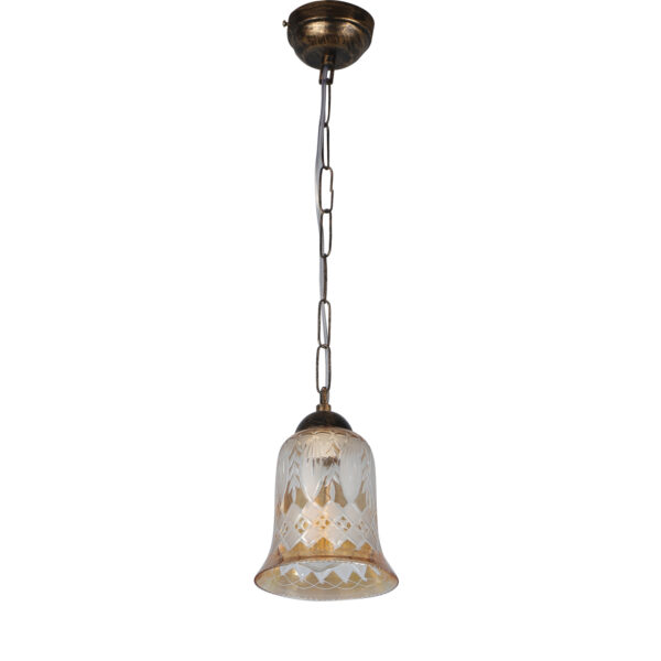 LEARC Designer Lighting Wrought Iron Rustic Finish Pendant HL4049-1
