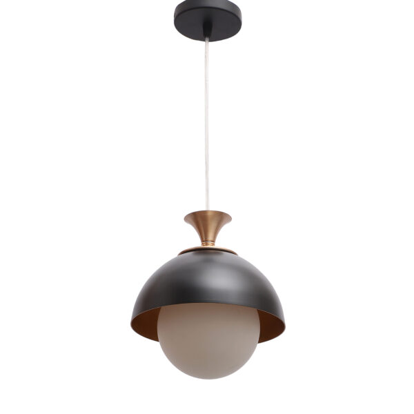 LEARC Designer Lighting Glass Metal Pendant Single HL8013-1