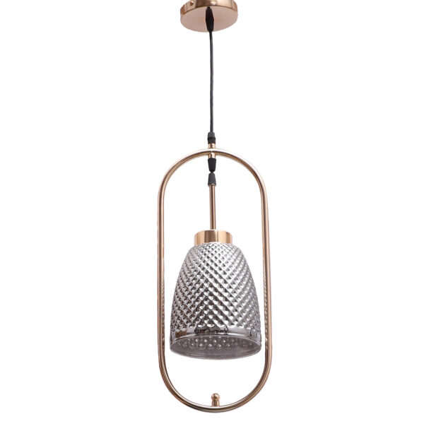 LEARC Designer Lighting Glass Metal Pendant Single HL8016-1