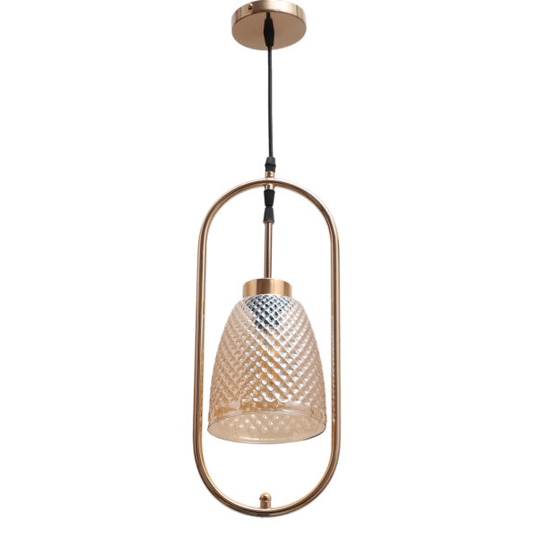 LEARC Designer Lighting Glass Metal Pendant Single HL8017-1