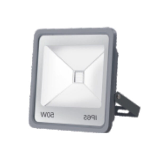 Superscape 50 watt RGB LED flood light with remote GS1275