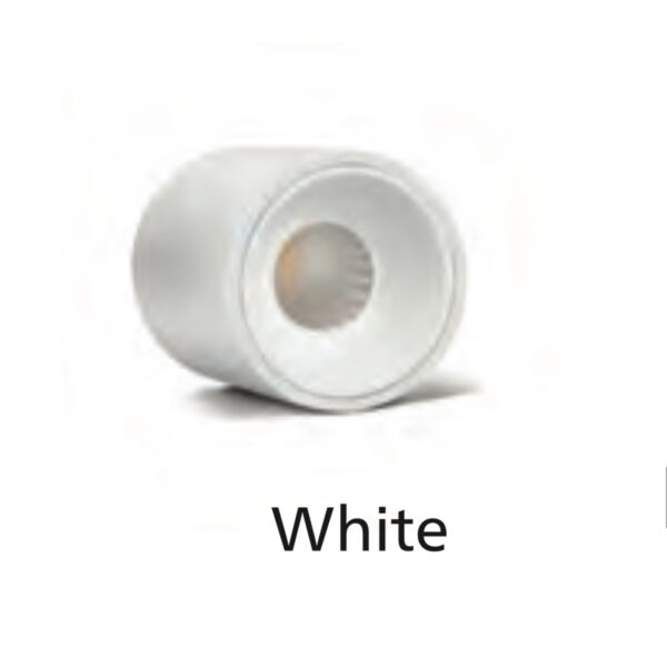 PHILIPS DECO SURFACE COB 12 WATT WHITE BODY WHITE REFLECTOR 4K NEUTRAL WHITE LIGHT PH1602