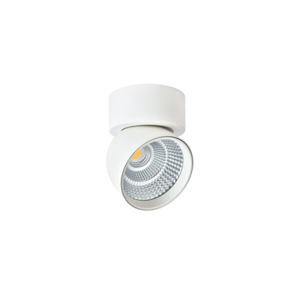 LEARC aluminium white finish 12 watt all angle adjustible surface spot light PR6318