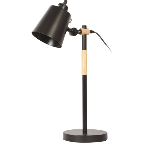 LEARC exclusive metal and wood table lamp TL5016