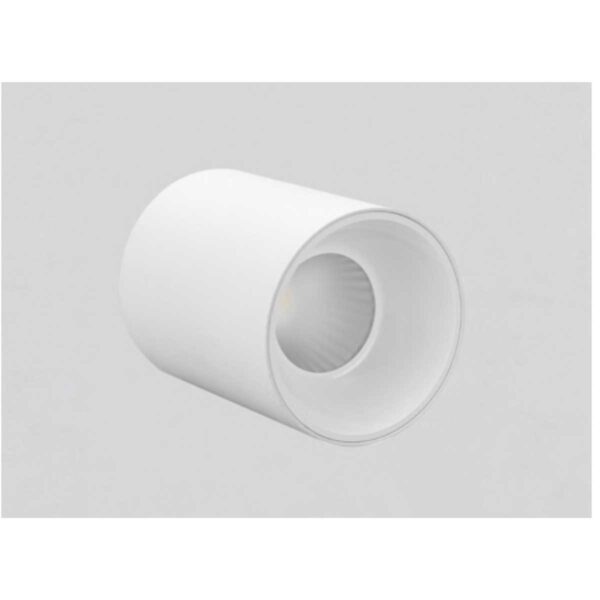 LEARC  Aluminium white finish white reflector 12 Watt colour changing 3 in 1 with high quality LED and driver Ceiling Surface drum TR1794-3C