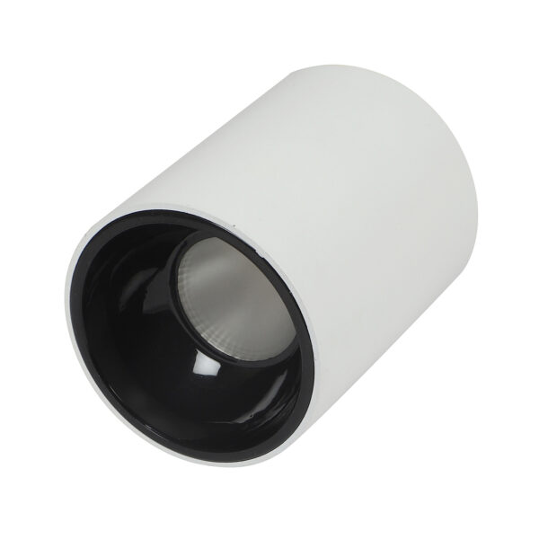 LEARC  aluminium white finish black reflector, 12 Watt Bridgelux LED and high quality driver LED Ceiling Surface cylinder TR1802