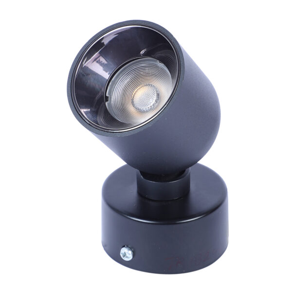 LEARC aluminium black 12 watt Bridgelux LED titlable and 360 degree rotatable LED surface light TR1824