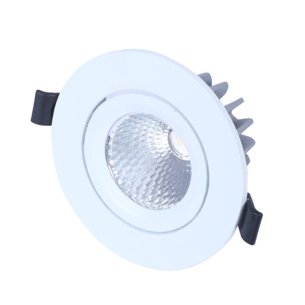 LEARC aluminium white finish 12 watt LED down light with Bridgelux COB and Philips Driver TR1863