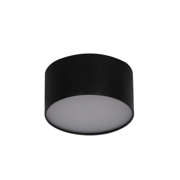 LEARC aluminium black 22 LED drum ceiling light surface with Bridgelux LED and Fulham Driver TR1899