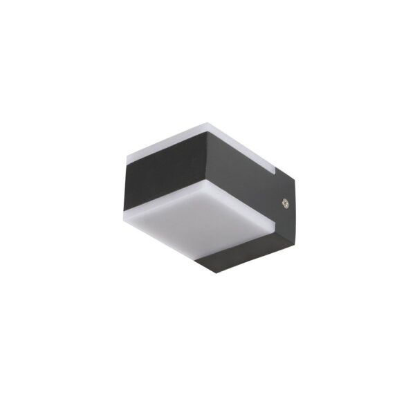 SUPERSCAPE Exterior Wall Light grey finish up down 10 watt (2*5) with top branded LED  and driver and acrylic warm white WL2289