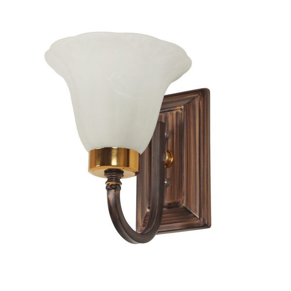 LEARC Designer Lighting Wrought Iron Rustic Finish Wall Light WL2515