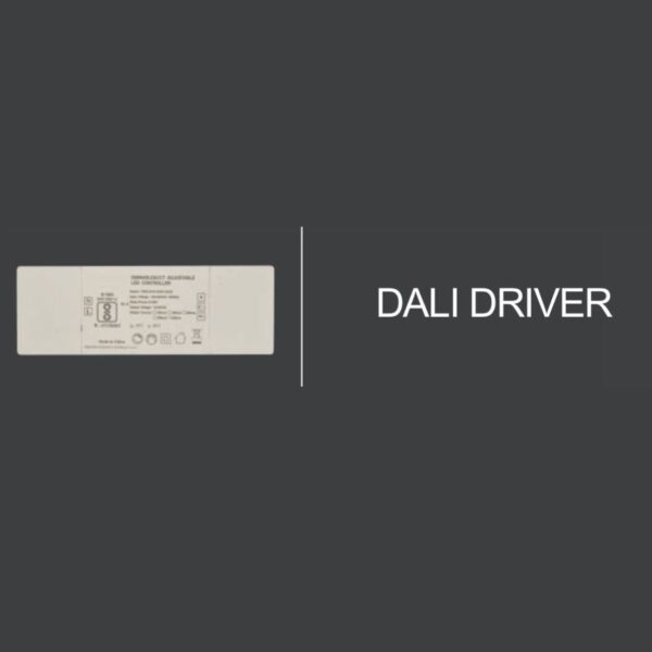 LEARC DALI DRIVER 12WDT8 TR2027