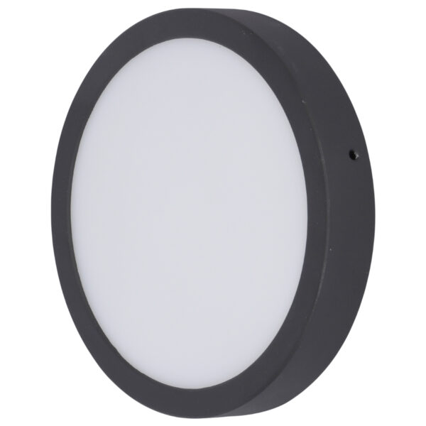 LEARC black finish 18 watt round Led Ceiling Light Surface with yellow light FA6284-3K